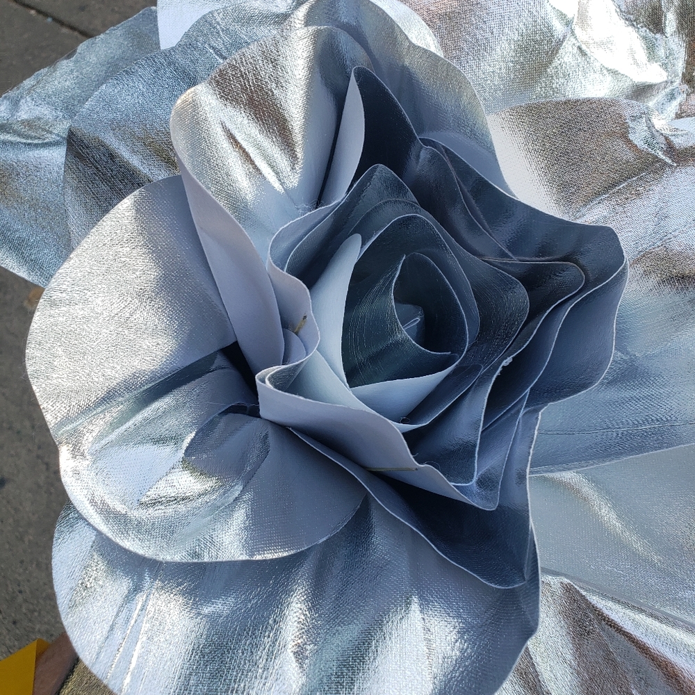 Flower for Christmas